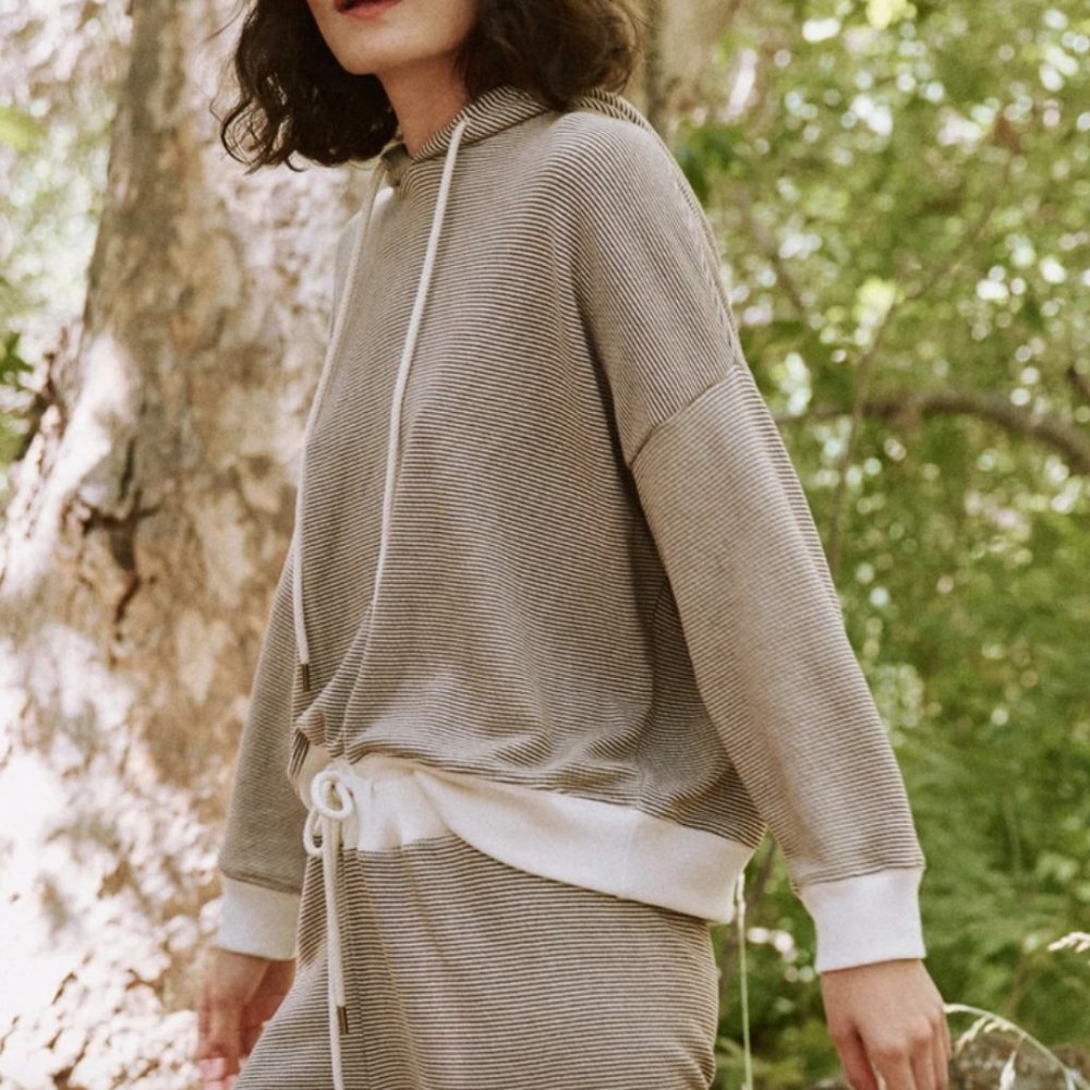THE GREAT. The Teammate Oversized Hoodie in Micro Cider Stripe